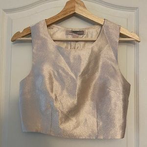 Forever21 sparkly champagne croptop